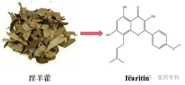 The new ED drug Sildenafil — Originating from Epimedium, yet surpassing Epimedium; vindicating Epime
